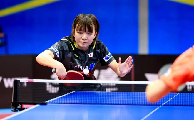 主题背景 主题背景