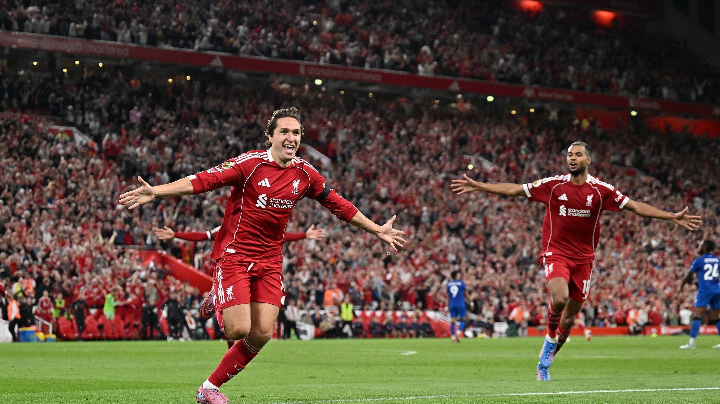 疑是一个具 疑是一个具