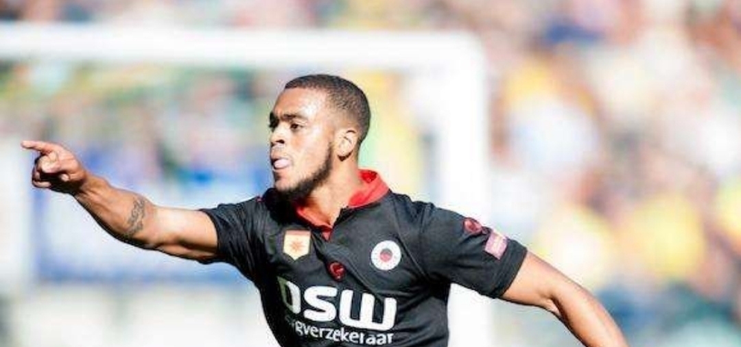 葡萄牙的整 葡萄牙的整