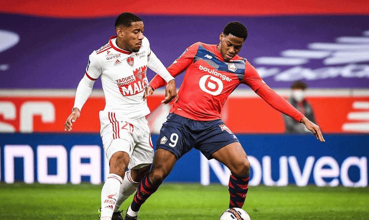 抗能力与阅 抗能力与阅