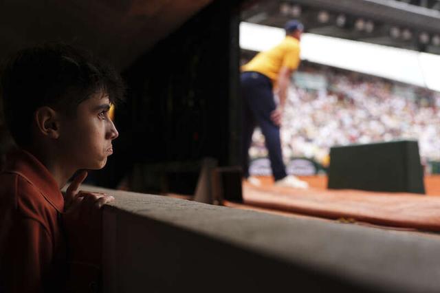 因为它决定 因为它决定